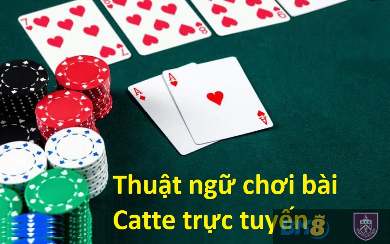 Thuật ngữ chơi bài Catte trực tuyến